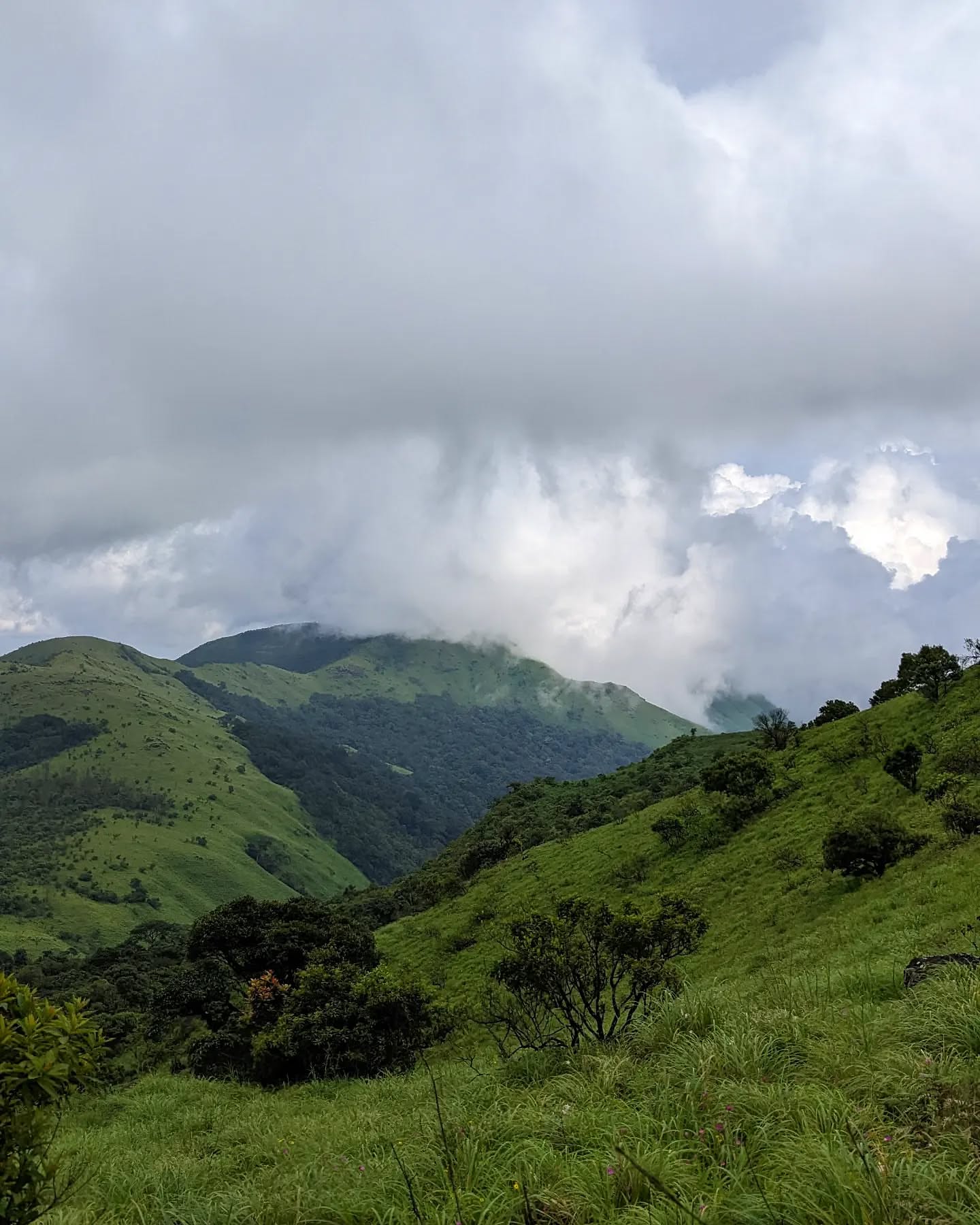 Tadiandamol Coorg